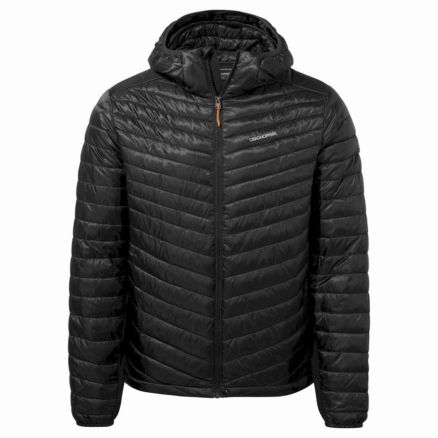 Black Craghoppers ExpoLite Insulated Hooded Men's Jackets | ADQ3183SV