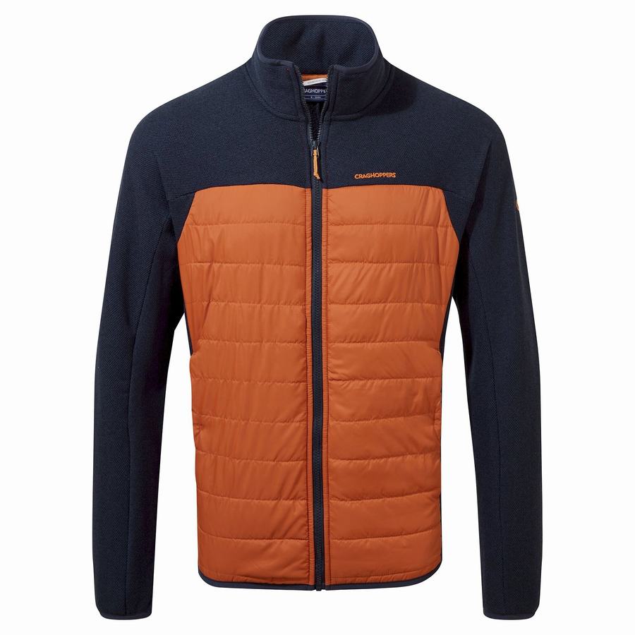 Blue Navy Craghoppers Finglas Hybrid Men's Jackets | USJ9356LP