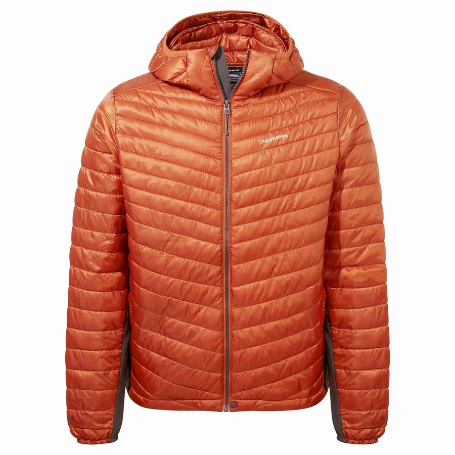 Orange Craghoppers ExpoLite Insulated Hooded Men's Jackets | PUG5072DY