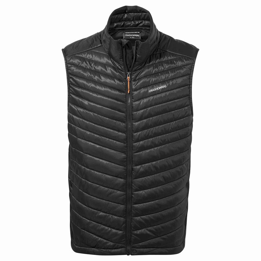 Black Craghoppers ExpoLite Insulated Vest Men's Gilets | NBJ4889QI