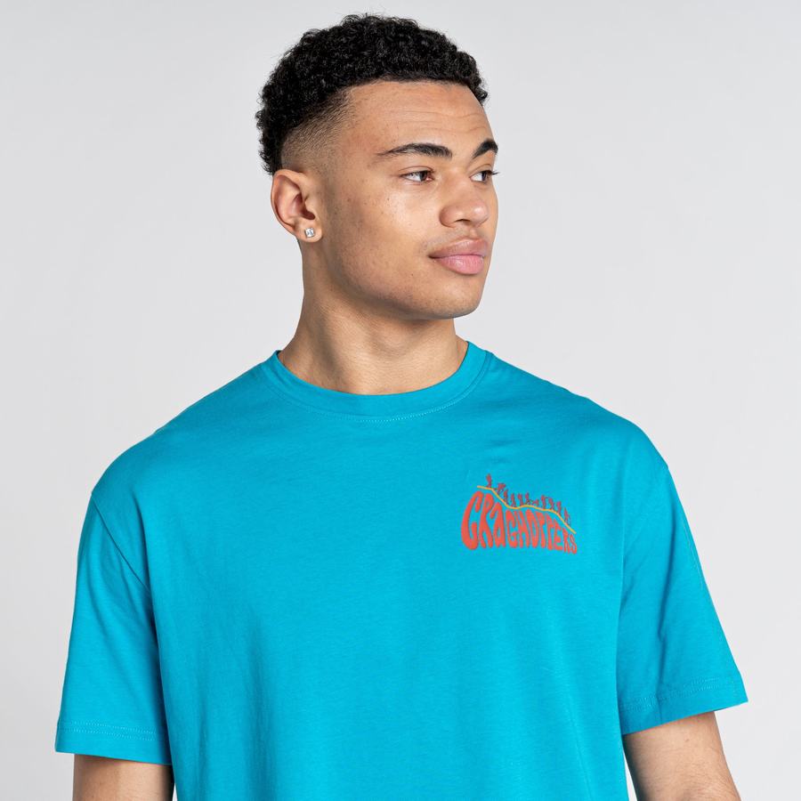 Blue Craghoppers Crosby Short Sleeved Men's T-Shirts | PTQ850EE
