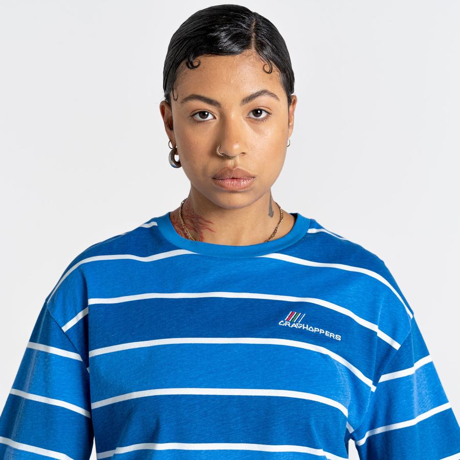 Blue Stripes Craghoppers Ventura Short Sleeved Women's T-Shirts | MQI6180IN