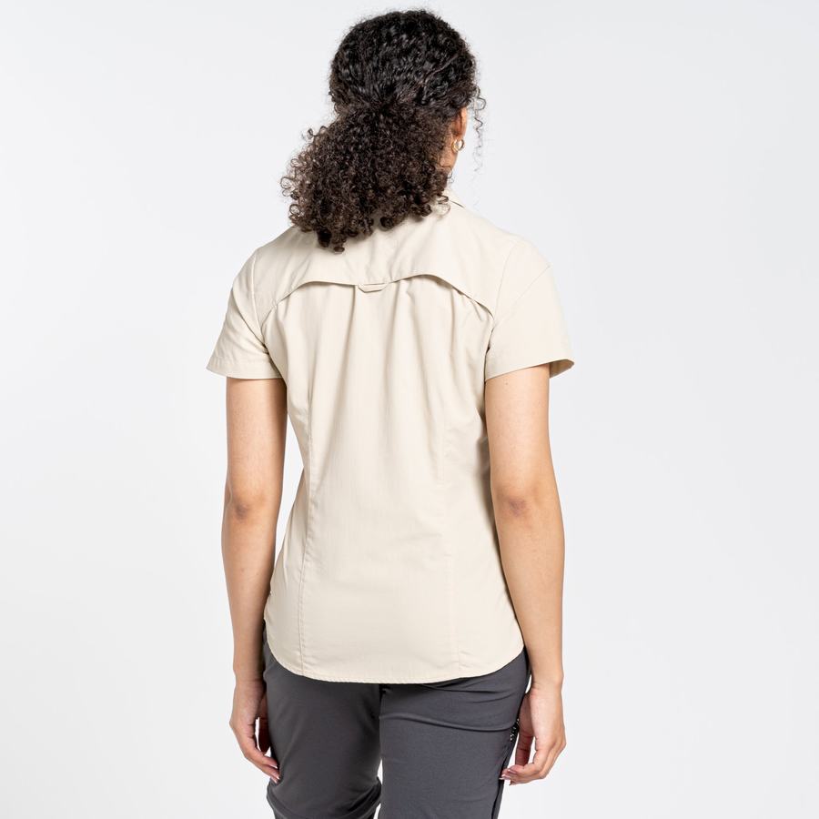 Brown Craghoppers NosiLife Adventure II Short Sleeved Women's Shirts | PIE2888VC