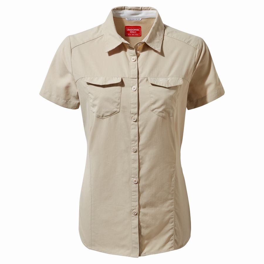 Brown Craghoppers NosiLife Adventure II Short Sleeved Women's Shirts | PIE2888VC