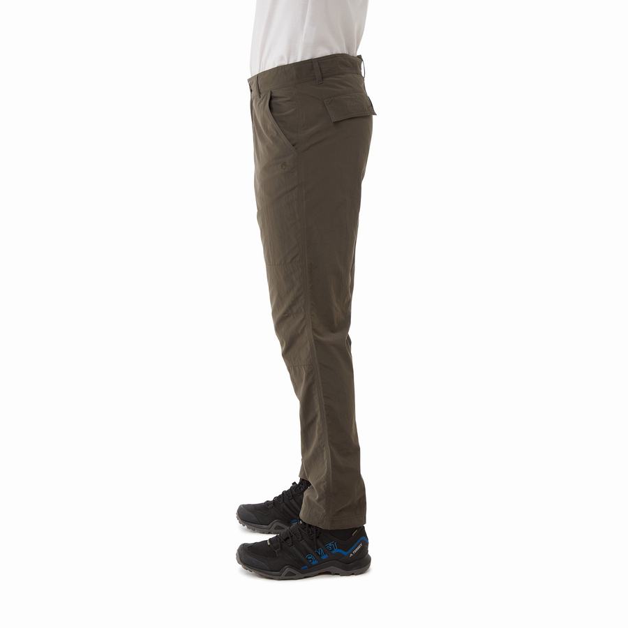 Green Craghoppers NosiLife Branco Men's Trousers | FRK2647ZA