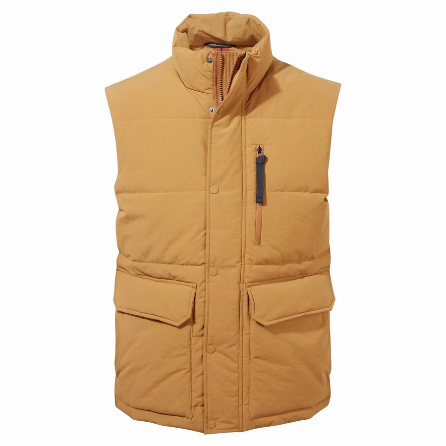 Grey Brown Craghoppers Dunbeath Vest Men\'s Gilets | GNI8910FP