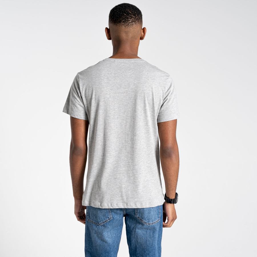 Grey Craghoppers Lugo Short Sleeved Men's T-Shirts | LEM8654HE