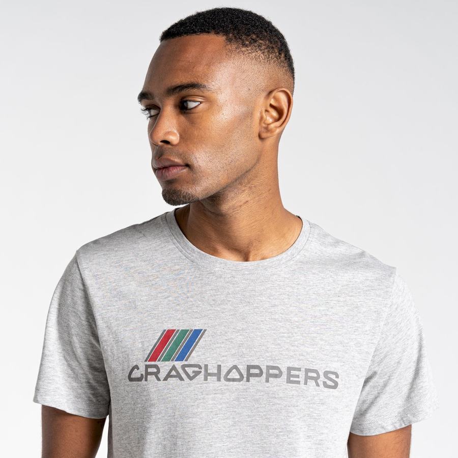 Grey Craghoppers Lugo Short Sleeved Men's T-Shirts | LEM8654HE