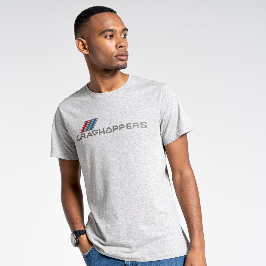 Grey Craghoppers Lugo Short Sleeved Men's T-Shirts | LEM8654HE