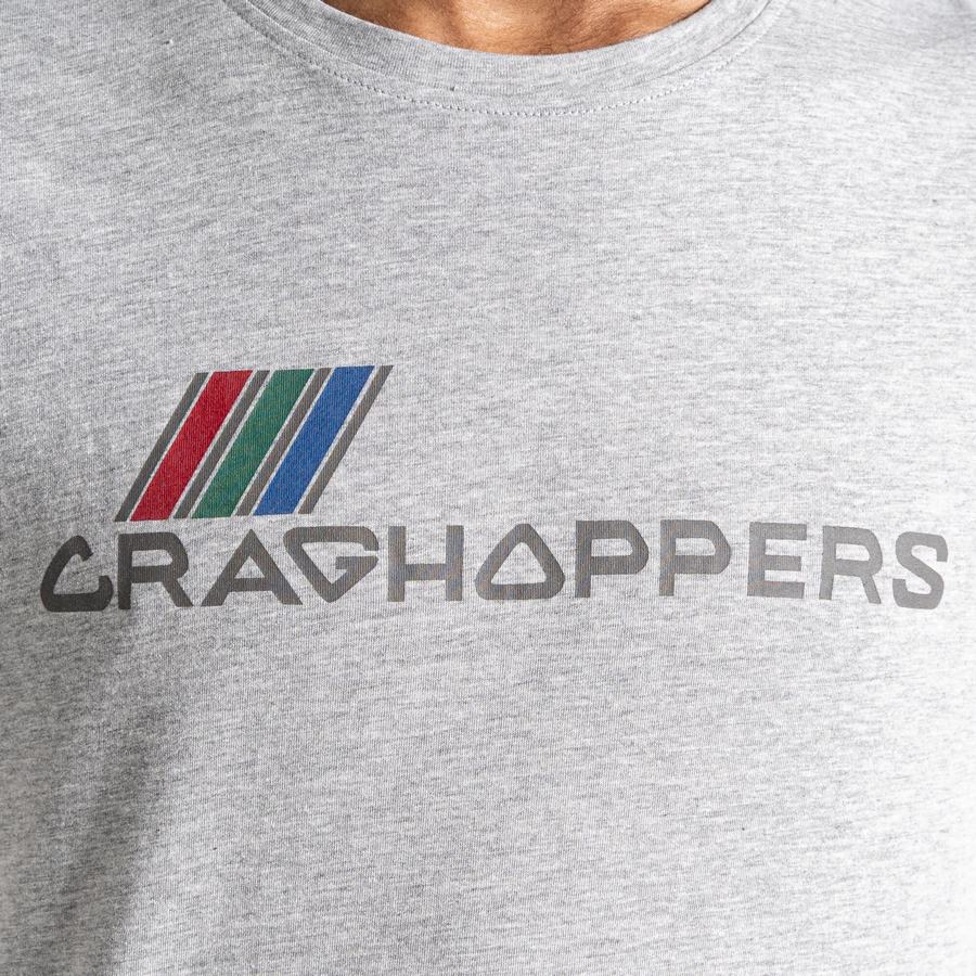 Grey Craghoppers Lugo Short Sleeved Men's T-Shirts | LEM8654HE