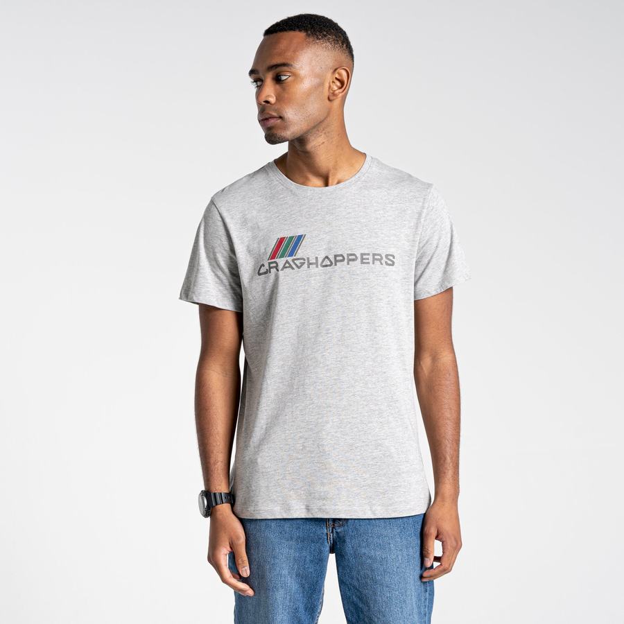 Grey Craghoppers Lugo Short Sleeved Men's T-Shirts | LEM8654HE