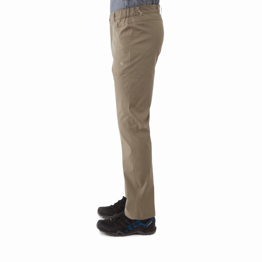 Khaki Craghoppers Kiwi Pro II Men's Trousers | HSX7432XU