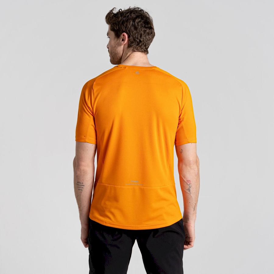 Orange Craghoppers Dynamic Pro Short Sleeved Men's T-Shirts | FXV5935IB