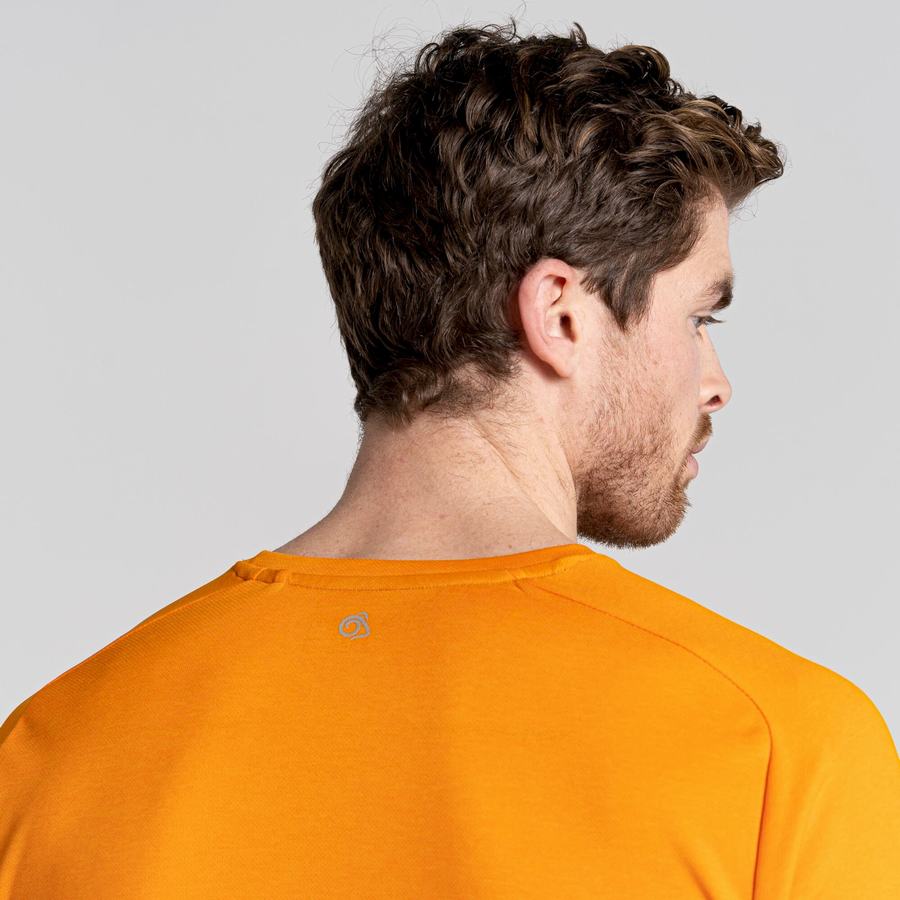 Orange Craghoppers Dynamic Pro Short Sleeved Men's T-Shirts | FXV5935IB