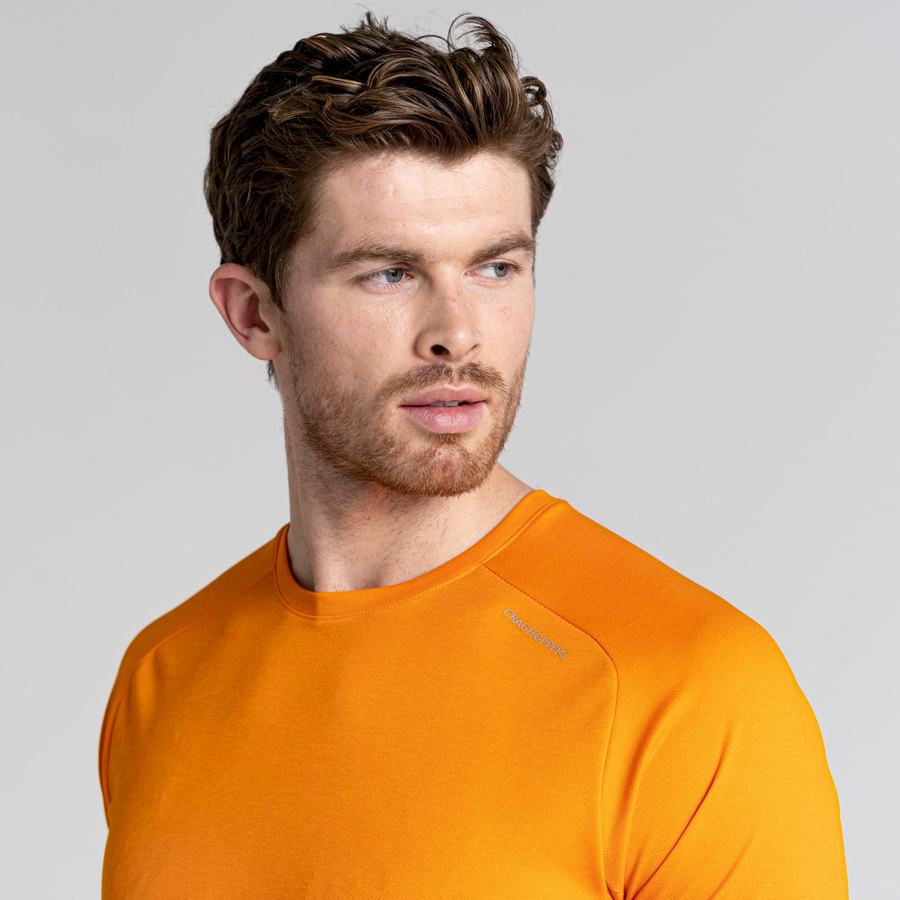 Orange Craghoppers Dynamic Pro Short Sleeved Men's T-Shirts | FXV5935IB