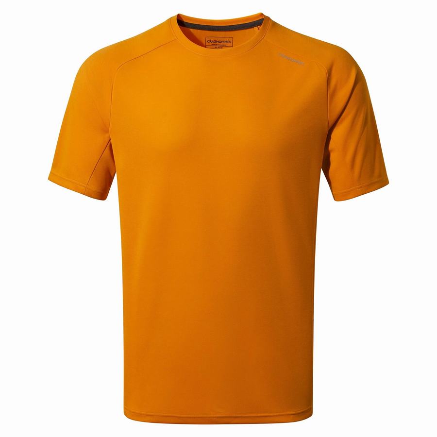 Orange Craghoppers Dynamic Pro Short Sleeved Men's T-Shirts | FXV5935IB