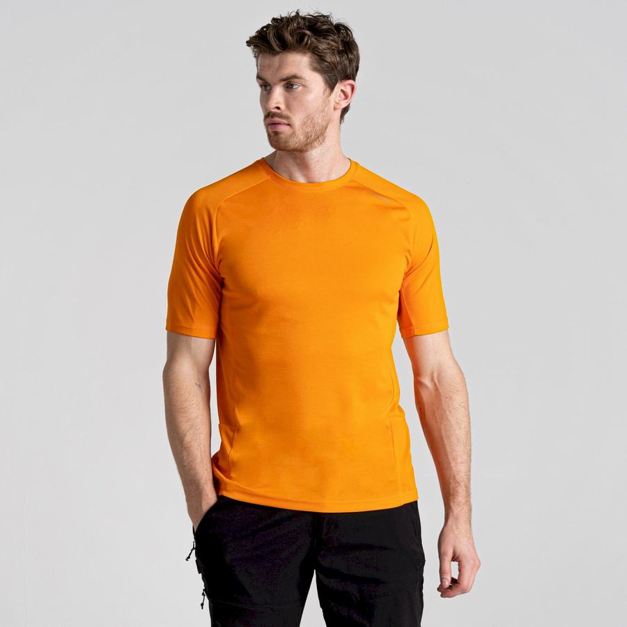 Orange Craghoppers Dynamic Pro Short Sleeved Men's T-Shirts | FXV5935IB
