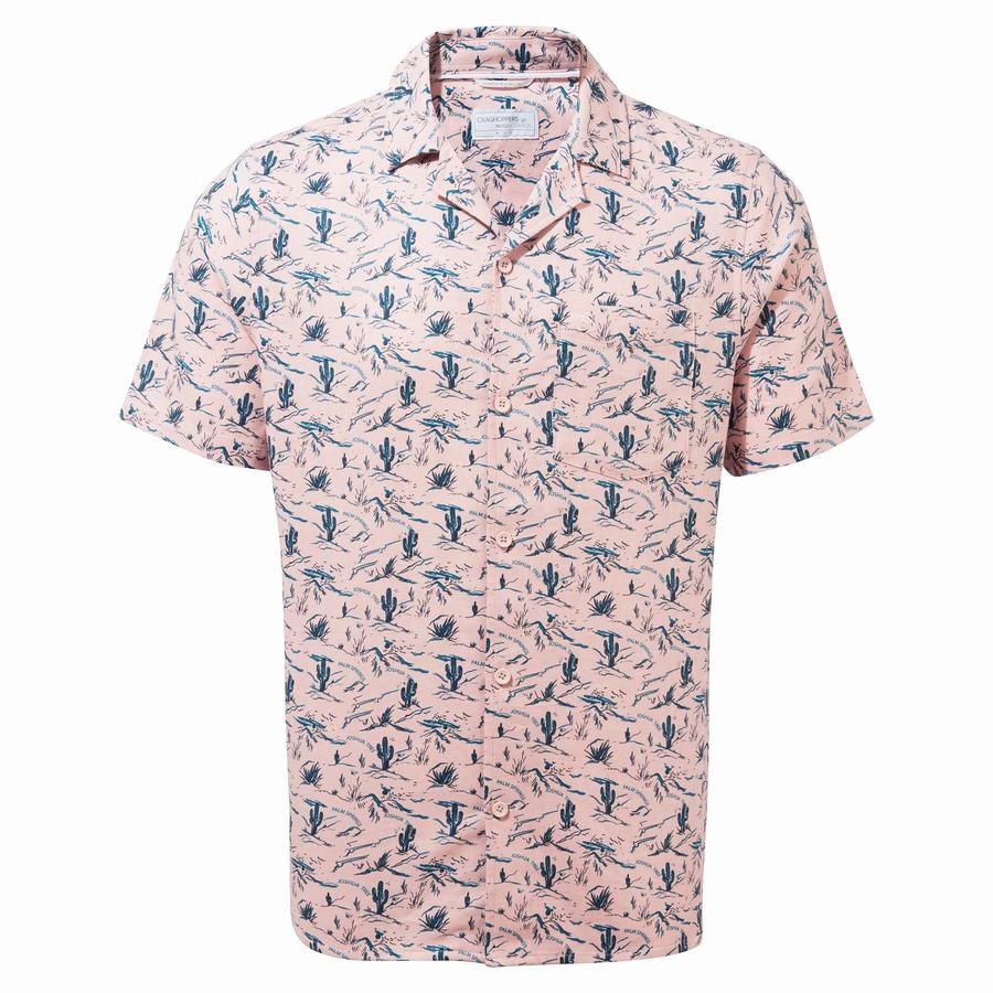 Pink Craghoppers Nosibotanical Hula Short Sleeved Men's Shirts | MDV1393UU