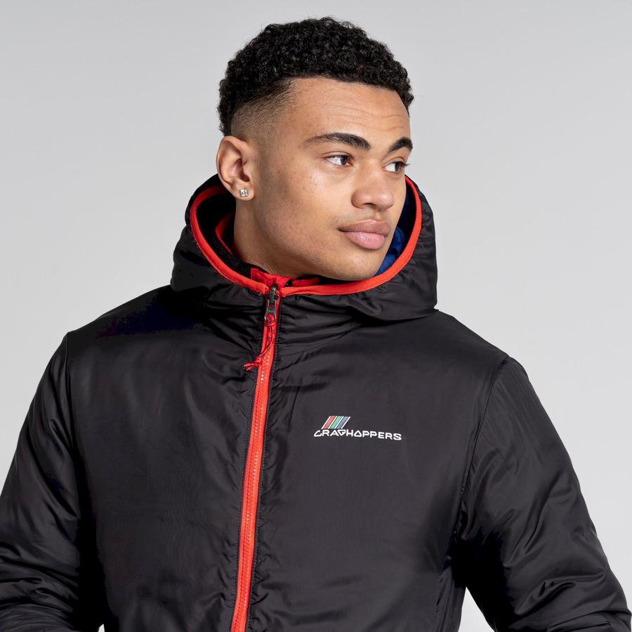 Purple Blue Black Craghoppers Cameo CompressLite Hooded Men's Jackets | VPW2274OV