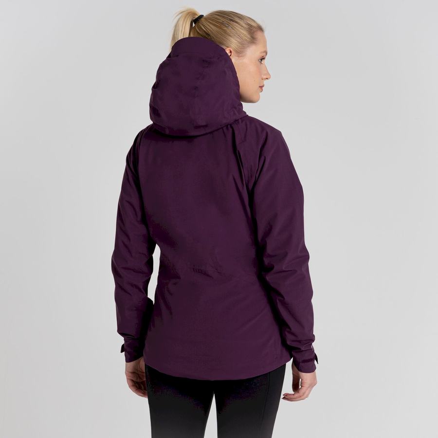 Purple Craghoppers Anza Women's Jackets | FPA9557AR