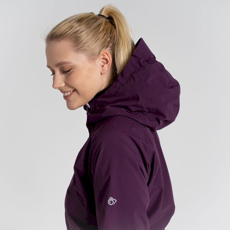 Purple Craghoppers Anza Women's Jackets | FPA9557AR