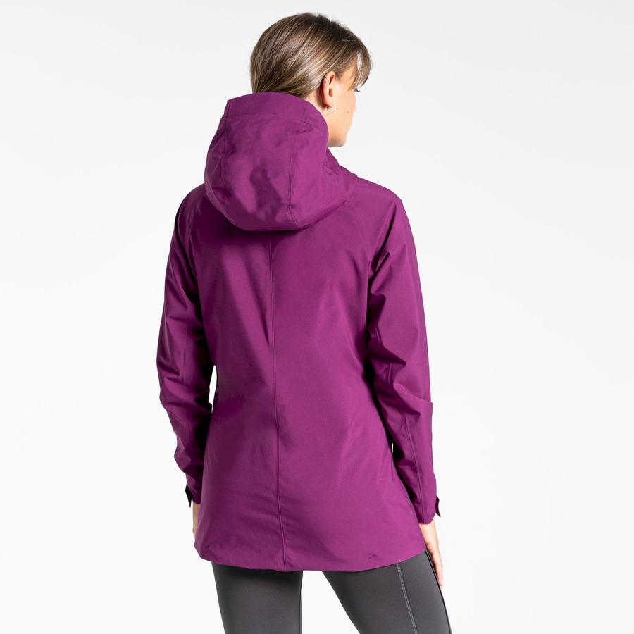 Purple Craghoppers Minola GORE-TEX Women's Jackets | PAB6477MJ