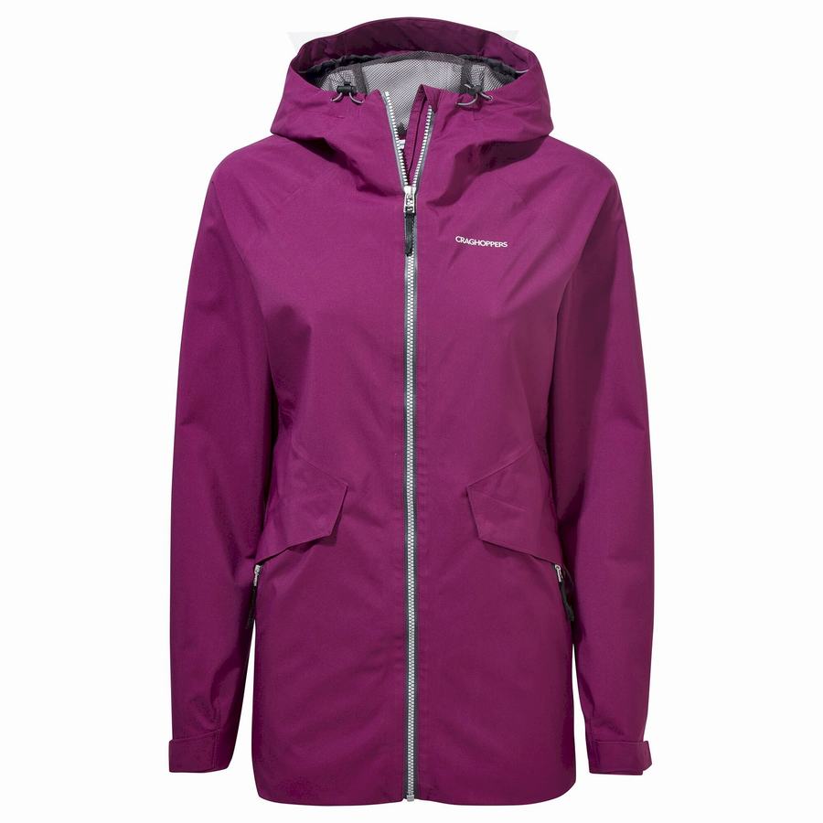 Purple Craghoppers Minola GORE-TEX Women\'s Jackets | PAB6477MJ