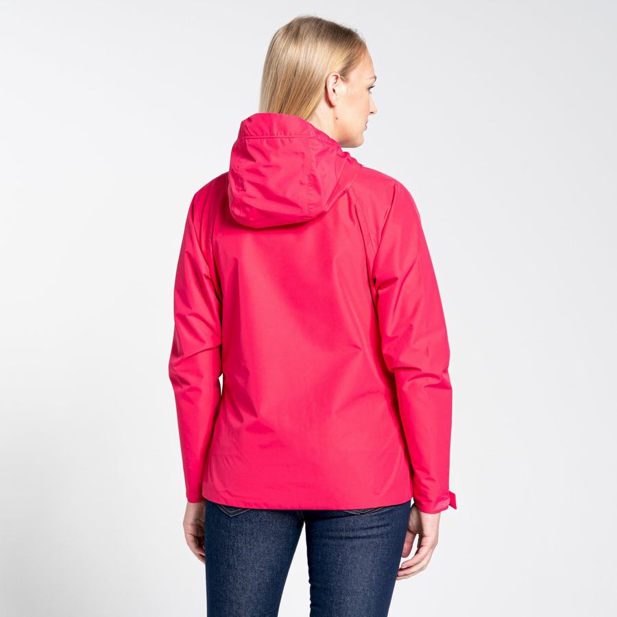Purple Flower Craghoppers Brielle Women's Jackets | QHJ8984HZ