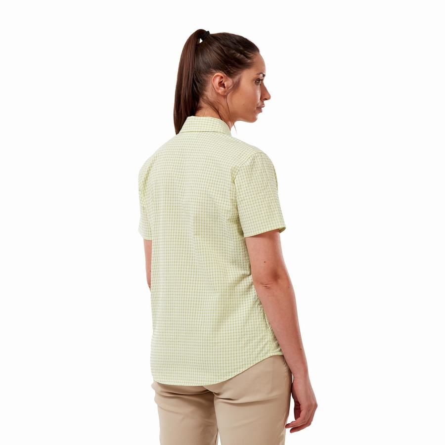 Yellow Craghoppers Nasima Short Sleeved Women's Shirts | PNO4428GW