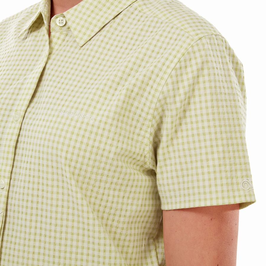Yellow Craghoppers Nasima Short Sleeved Women's Shirts | PNO4428GW