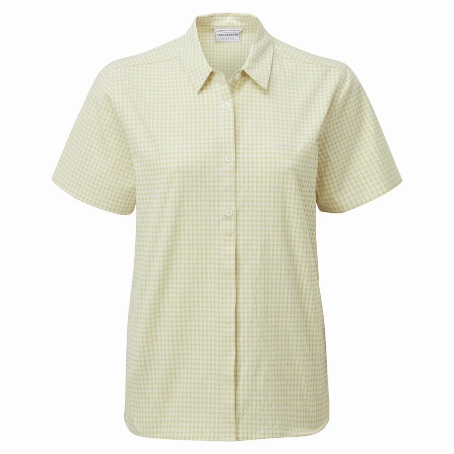Yellow Craghoppers Nasima Short Sleeved Women's Shirts | PNO4428GW