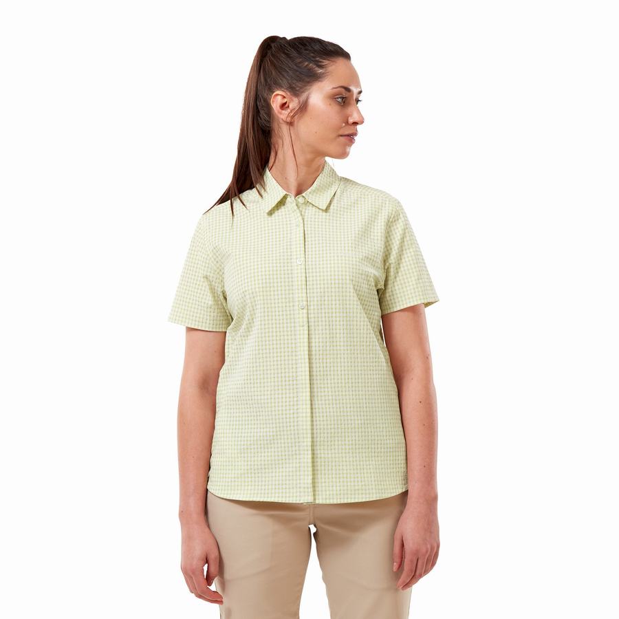 Yellow Craghoppers Nasima Short Sleeved Women's Shirts | PNO4428GW